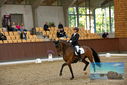 Filename=PT9_9045.JPG
Filesize=440KiB
Dimensions=1224x817
Date added=Oct 18, 2022 PT9_9045.JPG