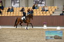 Filename=PT9_9048.JPG
Filesize=416KiB
Dimensions=1224x817
Date added=Oct 18, 2022 PT9_9048.JPG