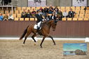 Filename=PT9_9049.JPG
Filesize=443KiB
Dimensions=1224x817
Date added=Oct 18, 2022 PT9_9049.JPG