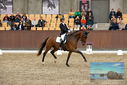 Filename=PT9_9050.JPG
Filesize=456KiB
Dimensions=1224x817
Date added=Oct 18, 2022 PT9_9050.JPG