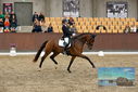Filename=PT9_9051.JPG
Filesize=413KiB
Dimensions=1224x817
Date added=Oct 18, 2022 PT9_9051.JPG