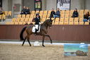 Filename=PT9_9062.JPG
Filesize=379KiB
Dimensions=1224x817
Date added=Oct 18, 2022 PT9_9062.JPG