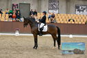 Filename=PT9_9068.JPG
Filesize=465KiB
Dimensions=1224x817
Date added=Oct 18, 2022 PT9_9068.JPG