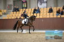 Filename=PT9_9069.JPG
Filesize=366KiB
Dimensions=1224x817
Date added=Oct 18, 2022 PT9_9069.JPG