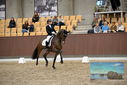 Filename=PT9_9070.JPG
Filesize=425KiB
Dimensions=1224x817
Date added=Oct 18, 2022 PT9_9070.JPG