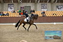 Filename=PT9_9073.JPG
Filesize=415KiB
Dimensions=1224x817
Date added=Oct 18, 2022 PT9_9073.JPG