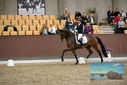 Filename=PT9_9074.JPG
Filesize=418KiB
Dimensions=1224x817
Date added=Oct 18, 2022 PT9_9074.JPG