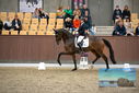 Filename=PT9_9077.JPG
Filesize=383KiB
Dimensions=1224x817
Date added=Oct 18, 2022 PT9_9077.JPG