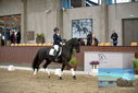 Filename=PT9_9089.JPG
Filesize=398KiB
Dimensions=1224x817
Date added=Oct 18, 2022 PT9_9089.JPG