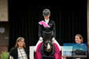 Filename=PT9_9099.JPG
Filesize=260KiB
Dimensions=1224x817
Date added=Oct 18, 2022 PT9_9099.JPG