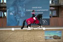 Filename=PT9_9112.JPG
Filesize=379KiB
Dimensions=1224x817
Date added=Oct 18, 2022 PT9_9112.JPG