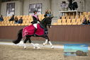 Filename=PT9_9123.JPG
Filesize=422KiB
Dimensions=1224x817
Date added=Oct 18, 2022 PT9_9123.JPG