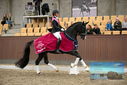 Filename=PT9_9124.JPG
Filesize=415KiB
Dimensions=1224x817
Date added=Oct 18, 2022 PT9_9124.JPG