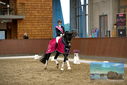 Filename=PT9_9129.JPG
Filesize=399KiB
Dimensions=1224x817
Date added=Oct 18, 2022 PT9_9129.JPG