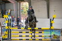 Filename=PT9_9136.JPG
Filesize=463KiB
Dimensions=1224x817
Date added=Oct 29, 2022 PT9_9136.JPG