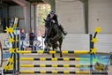 Filename=PT9_9137.JPG
Filesize=456KiB
Dimensions=1224x817
Date added=Oct 29, 2022 PT9_9137.JPG