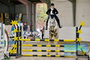Filename=PT9_9156.JPG
Filesize=493KiB
Dimensions=1224x817
Date added=Oct 29, 2022 PT9_9156.JPG