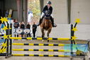 Filename=PT9_9164.JPG
Filesize=476KiB
Dimensions=1224x817
Date added=Oct 29, 2022 PT9_9164.JPG