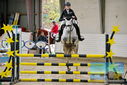 Filename=PT9_9199.JPG
Filesize=474KiB
Dimensions=1224x817
Date added=Oct 29, 2022 PT9_9199.JPG