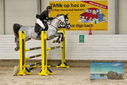 Filename=PT9_9203.JPG
Filesize=450KiB
Dimensions=1224x817
Date added=Oct 29, 2022 PT9_9203.JPG