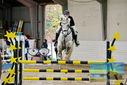 Filename=PT9_9210.JPG
Filesize=460KiB
Dimensions=1224x817
Date added=Oct 29, 2022 PT9_9210.JPG