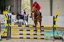Filename=PT9_9220.JPG
Filesize=491KiB
Dimensions=1224x817
Date added=Oct 29, 2022 PT9_9220.JPG