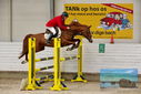Filename=PT9_9223.JPG
Filesize=436KiB
Dimensions=1224x817
Date added=Oct 29, 2022 PT9_9223.JPG