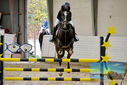 Filename=PT9_9227.JPG
Filesize=428KiB
Dimensions=1224x817
Date added=Oct 29, 2022 PT9_9227.JPG