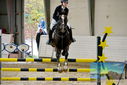 Filename=PT9_9228.JPG
Filesize=421KiB
Dimensions=1224x817
Date added=Oct 29, 2022 PT9_9228.JPG
