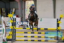 Filename=PT9_9251.JPG
Filesize=469KiB
Dimensions=1224x817
Date added=Oct 29, 2022 PT9_9251.JPG