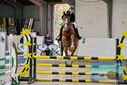 Filename=PT9_9259.JPG
Filesize=485KiB
Dimensions=1224x817
Date added=Oct 29, 2022 PT9_9259.JPG