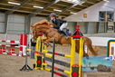 Filename=PT9_9270.JPG
Filesize=549KiB
Dimensions=1224x817
Date added=Oct 29, 2022 PT9_9270.JPG