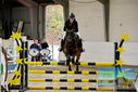 Filename=PT9_9274.JPG
Filesize=470KiB
Dimensions=1224x817
Date added=Oct 29, 2022 PT9_9274.JPG