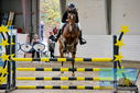 Filename=PT9_9281.JPG
Filesize=479KiB
Dimensions=1224x817
Date added=Oct 29, 2022 PT9_9281.JPG
