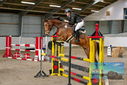 Filename=PT9_9287.JPG
Filesize=536KiB
Dimensions=1224x817
Date added=Oct 29, 2022 PT9_9287.JPG