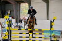 Filename=PT9_9307.JPG
Filesize=457KiB
Dimensions=1224x817
Date added=Oct 29, 2022 PT9_9307.JPG