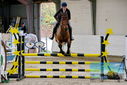 Filename=PT9_9329.JPG
Filesize=471KiB
Dimensions=1224x817
Date added=Oct 29, 2022 PT9_9329.JPG