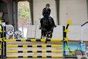 Filename=PT9_9337.JPG
Filesize=465KiB
Dimensions=1224x817
Date added=Oct 29, 2022 PT9_9337.JPG