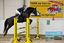 Filename=PT9_9340.JPG
Filesize=446KiB
Dimensions=1224x817
Date added=Oct 29, 2022 PT9_9340.JPG