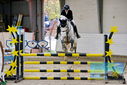 Filename=PT9_9412.JPG
Filesize=488KiB
Dimensions=1224x817
Date added=Oct 29, 2022 PT9_9412.JPG