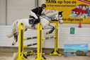 Filename=PT9_9416.JPG
Filesize=460KiB
Dimensions=1224x817
Date added=Oct 29, 2022 PT9_9416.JPG