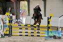 Filename=PT9_9424.JPG
Filesize=519KiB
Dimensions=1224x817
Date added=Oct 29, 2022 PT9_9424.JPG