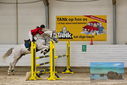 Filename=PT9_9436.JPG
Filesize=459KiB
Dimensions=1224x817
Date added=Oct 29, 2022 PT9_9436.JPG
