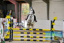 Filename=PT9_9443.JPG
Filesize=484KiB
Dimensions=1224x817
Date added=Oct 29, 2022 PT9_9443.JPG
