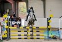 Filename=PT9_9451.JPG
Filesize=491KiB
Dimensions=1224x817
Date added=Oct 29, 2022 PT9_9451.JPG