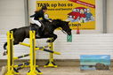 Filename=PT9_9461.JPG
Filesize=458KiB
Dimensions=1224x817
Date added=Oct 29, 2022 PT9_9461.JPG