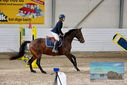 Filename=PT9_9483.JPG
Filesize=473KiB
Dimensions=1224x817
Date added=Oct 29, 2022 PT9_9483.JPG