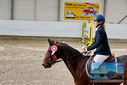 Filename=PT9_9485.JPG
Filesize=440KiB
Dimensions=1224x817
Date added=Oct 29, 2022 PT9_9485.JPG