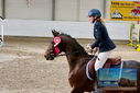 Filename=PT9_9486.JPG
Filesize=464KiB
Dimensions=1224x817
Date added=Oct 29, 2022 PT9_9486.JPG