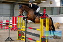 Filename=PT9_9509.JPG
Filesize=474KiB
Dimensions=1224x817
Date added=Oct 29, 2022 PT9_9509.JPG